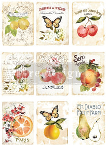 Redesign - Decor Transfer - Sweet Apricot