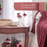 Enchanted Echinacea