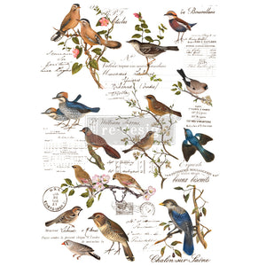 Redesign - Decor Transfer - Postal Birds